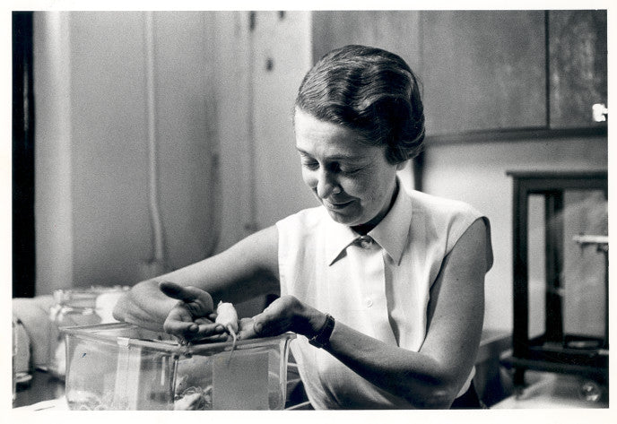 Rita Levi-Montalcini and the Discovery of PEA, by Daniel McBrearty