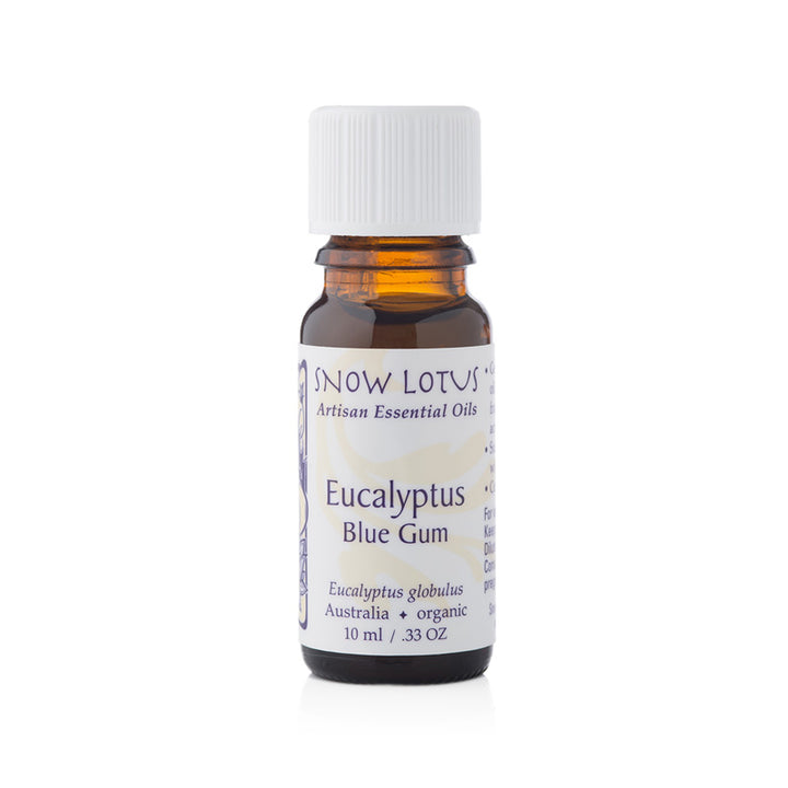 Eucalyptus, blue gum - essential oil - Snow Lotus - People's Herbs